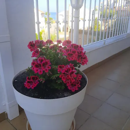 Gemelas De Terreros 1 *